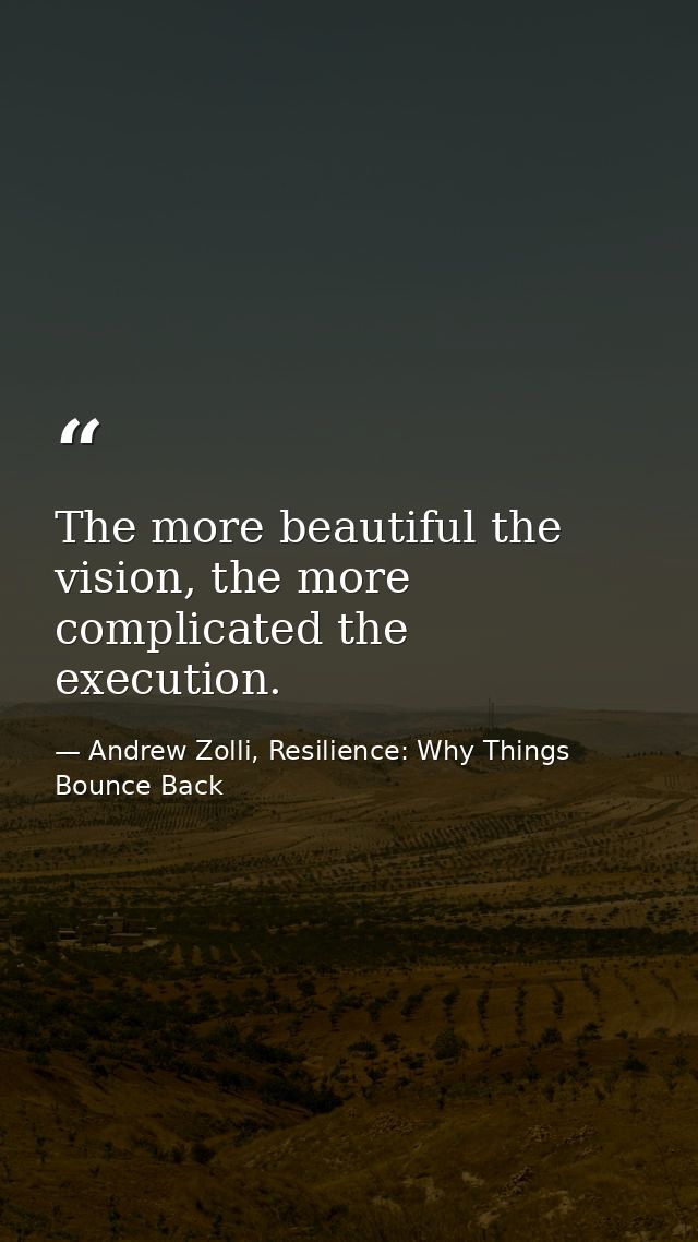 The more beautiful the vision, the more complicated the execution. — Andrew Zolli, Resilience: Why Things Bounce Back