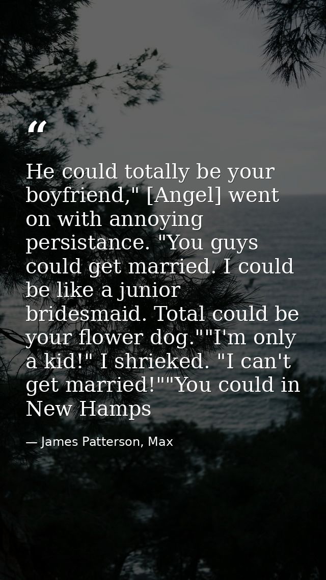 He could totally be your boyfriend," [Angel] went on with annoying persistance. "You guys could get married. I could be  — James Patterson, Max