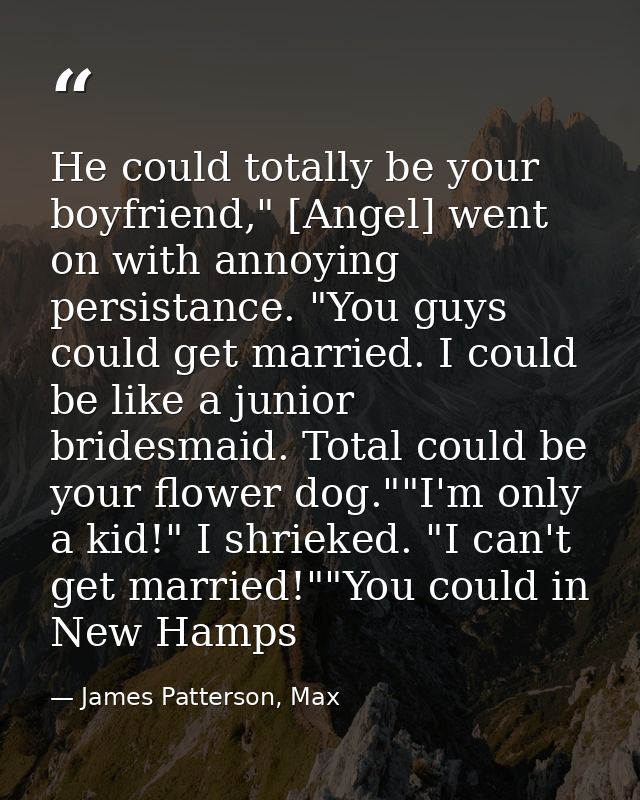 He could totally be your boyfriend," [Angel] went on with annoying persistance. "You guys could get married. I could be  — James Patterson, Max