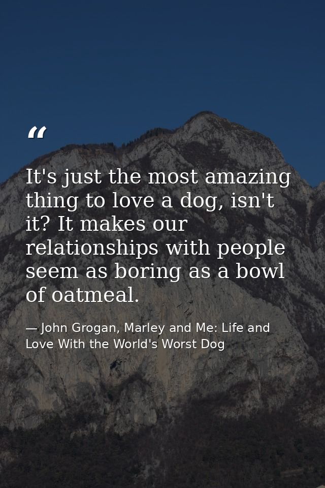 It's just the most amazing thing to love a dog, isn't it? It makes our relationships with people seem as boring as a bow — John Grogan, Marley and Me: Life and Love With the World's Worst Dog