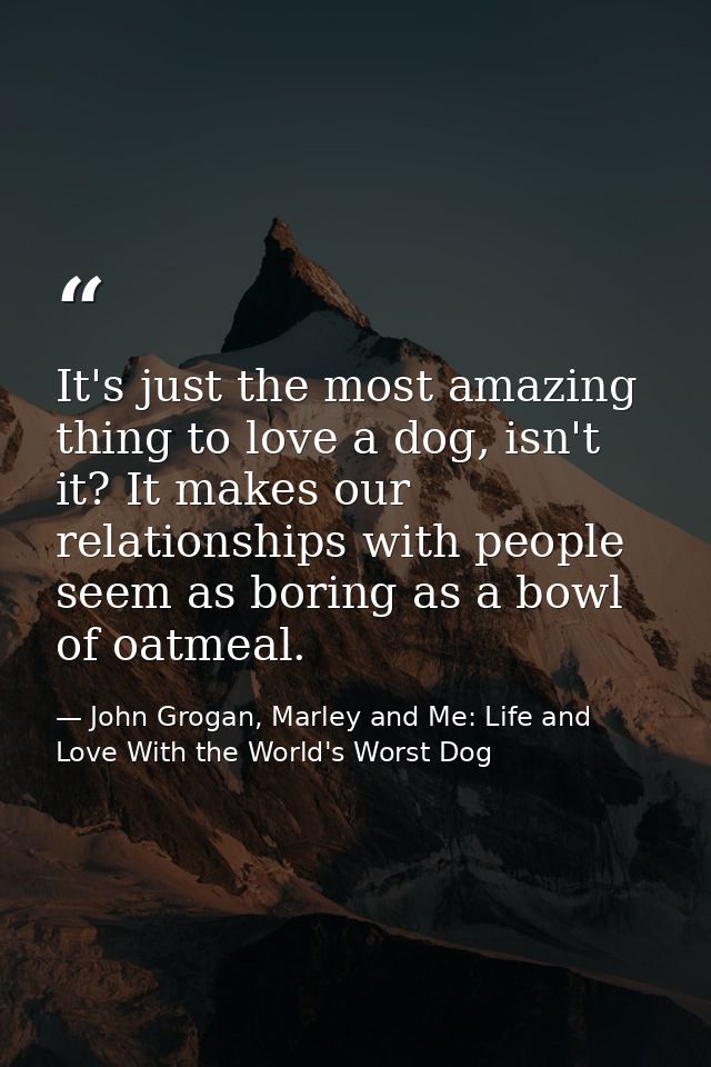 It's just the most amazing thing to love a dog, isn't it? It makes our relationships with people seem as boring as a bow — John Grogan, Marley and Me: Life and Love With the World's Worst Dog