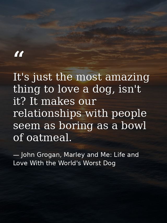 It's just the most amazing thing to love a dog, isn't it? It makes our relationships with people seem as boring as a bow — John Grogan, Marley and Me: Life and Love With the World's Worst Dog