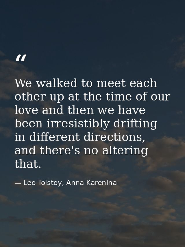 We walked to meet each other up at the time of our love and then we have been irresistibly drifting in different directi — Leo Tolstoy, Anna Karenina