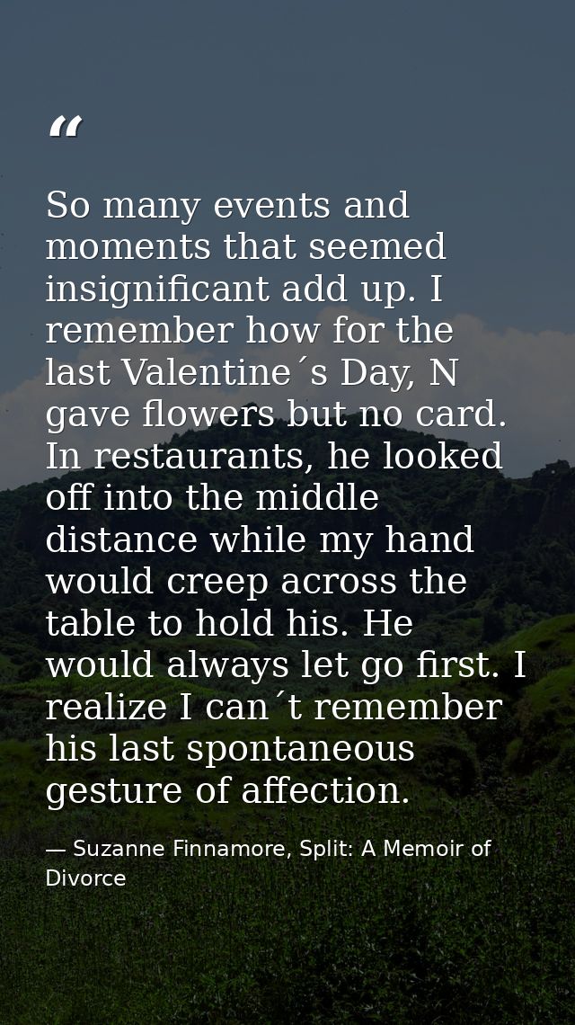 So many events and moments that seemed insignificant add up. I remember how for the last Valentine´s Day, N gave flowers — Suzanne Finnamore, Split: A Memoir of Divorce