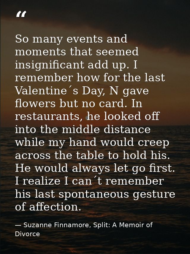 So many events and moments that seemed insignificant add up. I remember how for the last Valentine´s Day, N gave flowers — Suzanne Finnamore, Split: A Memoir of Divorce