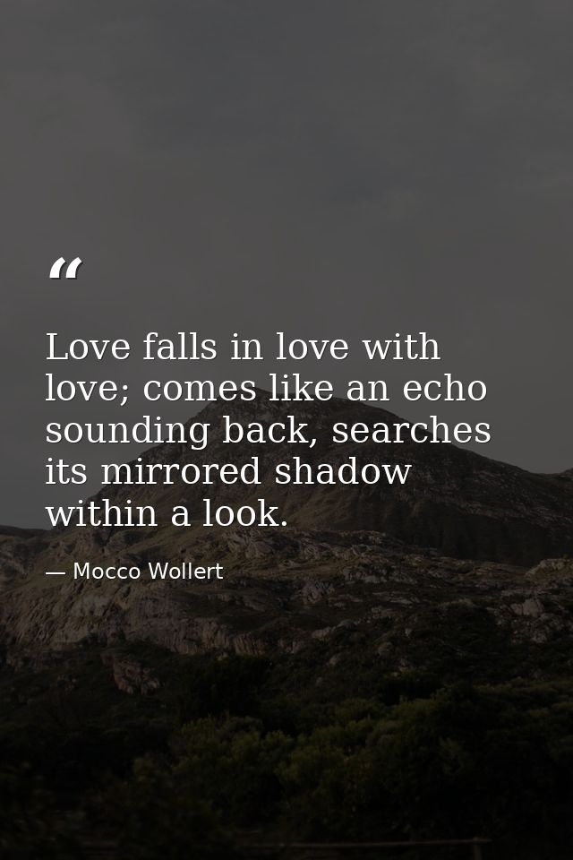 Love falls in love with love; comes like an echo sounding back, searches its mirrored shadow within a look. — Mocco Wollert