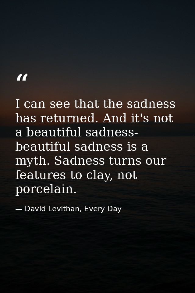 I can see that the sadness has returned. And it's not a beautiful sadness- beautiful sadness is a myth. Sadness turns ou — David Levithan, Every Day