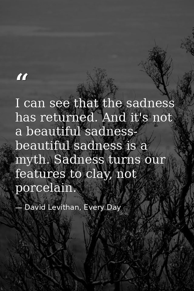 I can see that the sadness has returned. And it's not a beautiful sadness- beautiful sadness is a myth. Sadness turns ou — David Levithan, Every Day