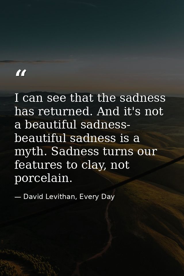 I can see that the sadness has returned. And it's not a beautiful sadness- beautiful sadness is a myth. Sadness turns ou — David Levithan, Every Day