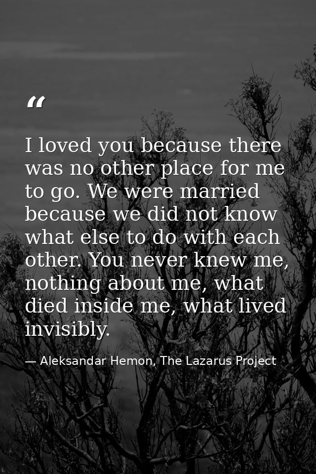 I loved you because there was no other place for me to go. We were married because we did not know what else to do with  — Aleksandar Hemon, The Lazarus Project