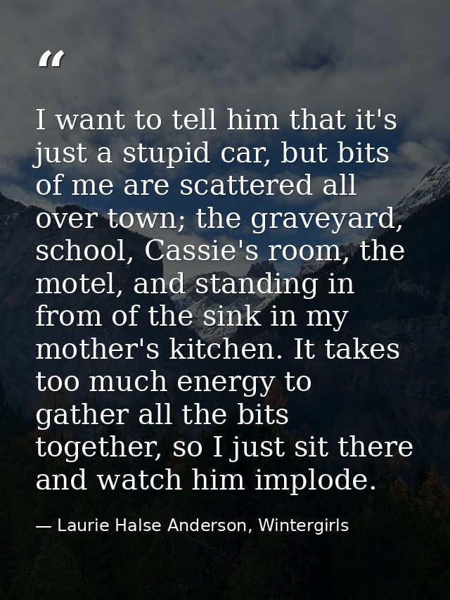 I want to tell him that it's just a stupid car, but bits of me are scattered all over town; the graveyard, school, Cassi — Laurie Halse Anderson, Wintergirls
