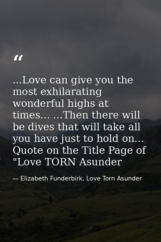 ...Love can give you the most exhilarating wonderful highs at times... ...Then there will be dives that will take all yo — Elizabeth Funderbirk, Love Torn Asunder