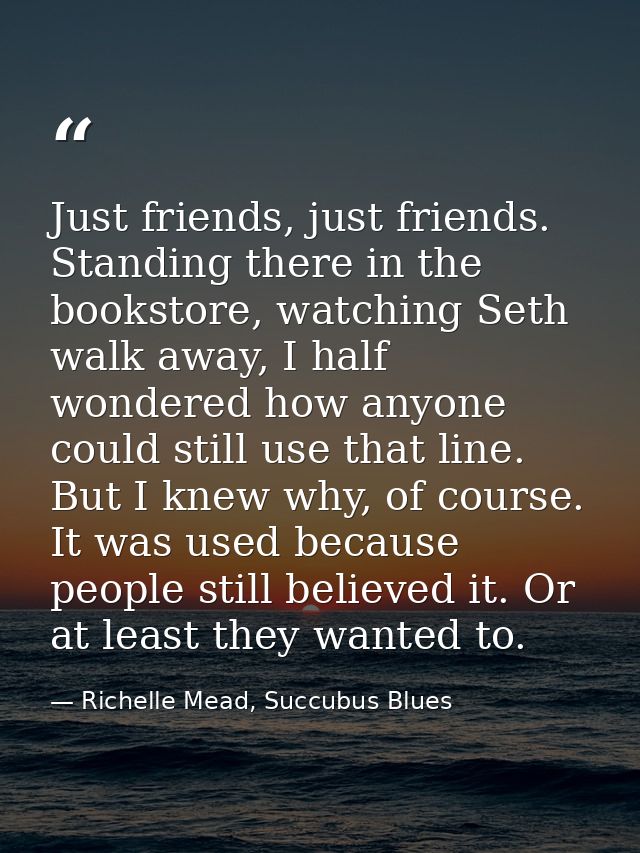 Just friends, just friends. Standing there in the bookstore, watching Seth walk away, I half wondered how anyone could s — Richelle Mead, Succubus Blues
