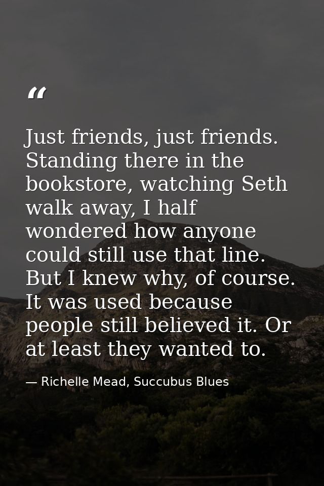 Just friends, just friends. Standing there in the bookstore, watching Seth walk away, I half wondered how anyone could s — Richelle Mead, Succubus Blues