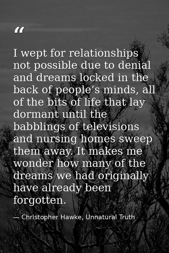 I wept for relationships not possible due to denial and dreams locked in the back of people’s minds, all of the bits of  — Christopher Hawke, Unnatural Truth