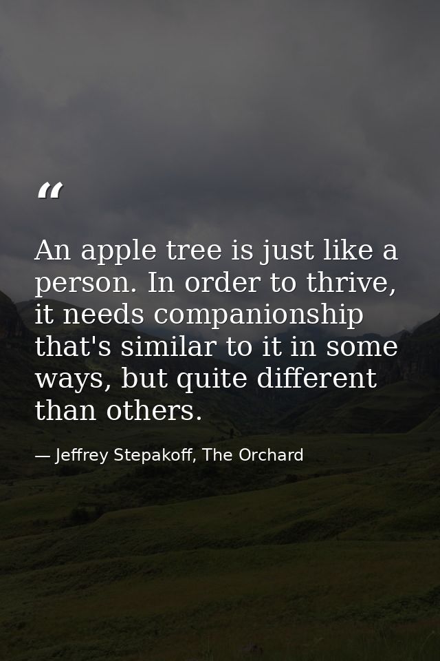 An apple tree is just like a person. In order to thrive, it needs companionship that's similar to it in some ways, but q — Jeffrey Stepakoff, The Orchard