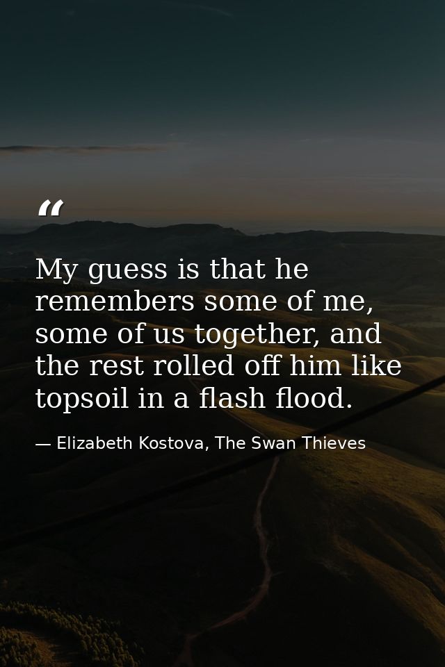 My guess is that he remembers some of me, some of us together, and the rest rolled off him like topsoil in a flash flood — Elizabeth Kostova, The Swan Thieves