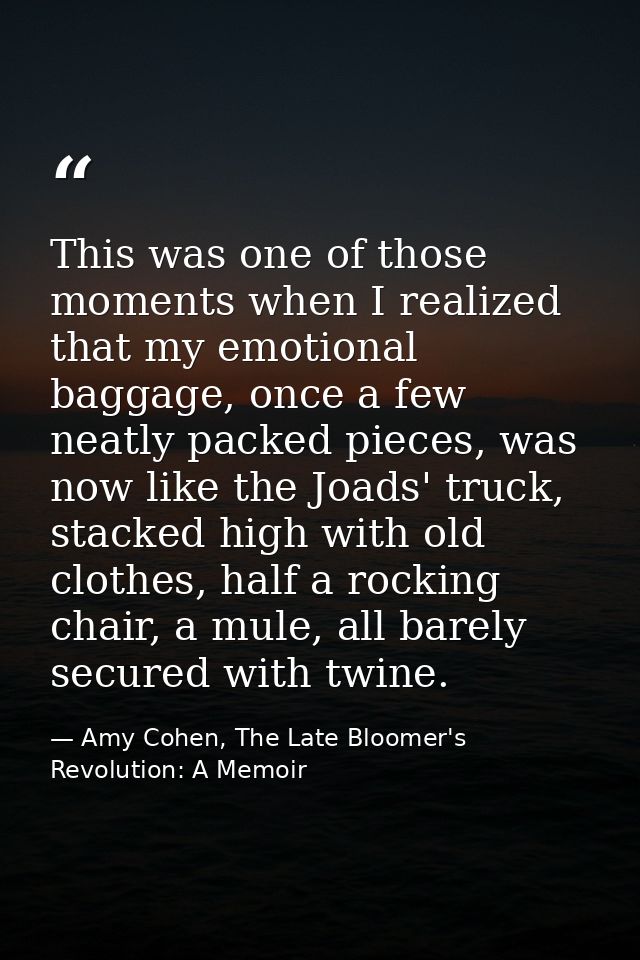 This was one of those moments when I realized that my emotional baggage, once a few neatly packed pieces, was now like t — Amy Cohen, The Late Bloomer's Revolution: A Memoir