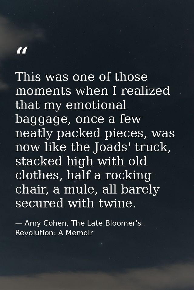 This was one of those moments when I realized that my emotional baggage, once a few neatly packed pieces, was now like t — Amy Cohen, The Late Bloomer's Revolution: A Memoir