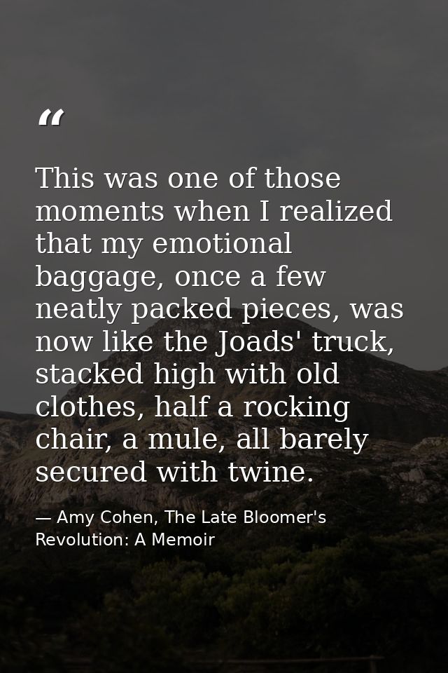 This was one of those moments when I realized that my emotional baggage, once a few neatly packed pieces, was now like t — Amy Cohen, The Late Bloomer's Revolution: A Memoir