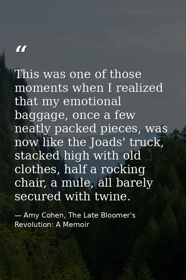 This was one of those moments when I realized that my emotional baggage, once a few neatly packed pieces, was now like t — Amy Cohen, The Late Bloomer's Revolution: A Memoir