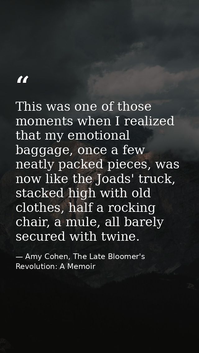 This was one of those moments when I realized that my emotional baggage, once a few neatly packed pieces, was now like t — Amy Cohen, The Late Bloomer's Revolution: A Memoir
