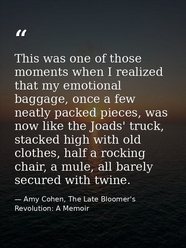 This was one of those moments when I realized that my emotional baggage, once a few neatly packed pieces, was now like t — Amy Cohen, The Late Bloomer's Revolution: A Memoir