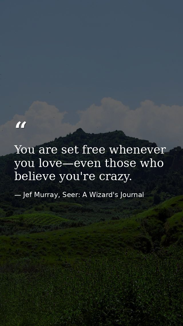 You are set free whenever you love—even those who believe you're crazy. — Jef Murray, Seer: A Wizard's Journal