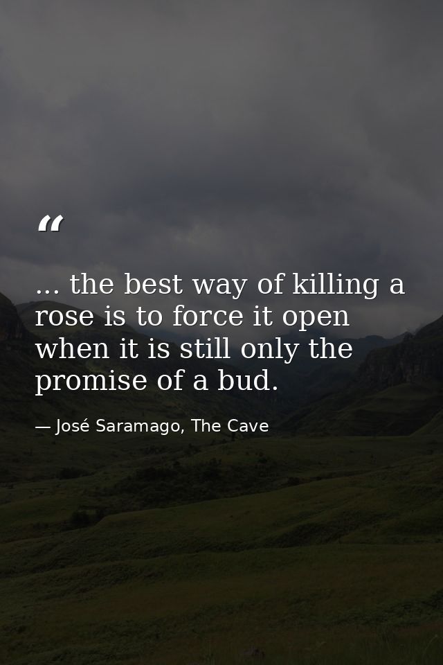 ... the best way of killing a rose is to force it open when it is still only the promise of a bud. — José Saramago, The Cave