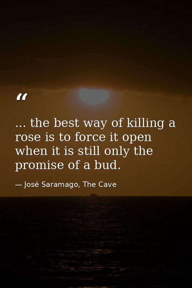 ... the best way of killing a rose is to force it open when it is still only the promise of a bud. — José Saramago, The Cave