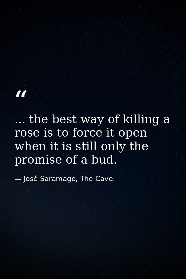 ... the best way of killing a rose is to force it open when it is still only the promise of a bud. — José Saramago, The Cave