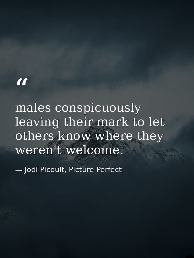 males conspicuously leaving their mark to let others know where they weren't welcome. — Jodi Picoult, Picture Perfect