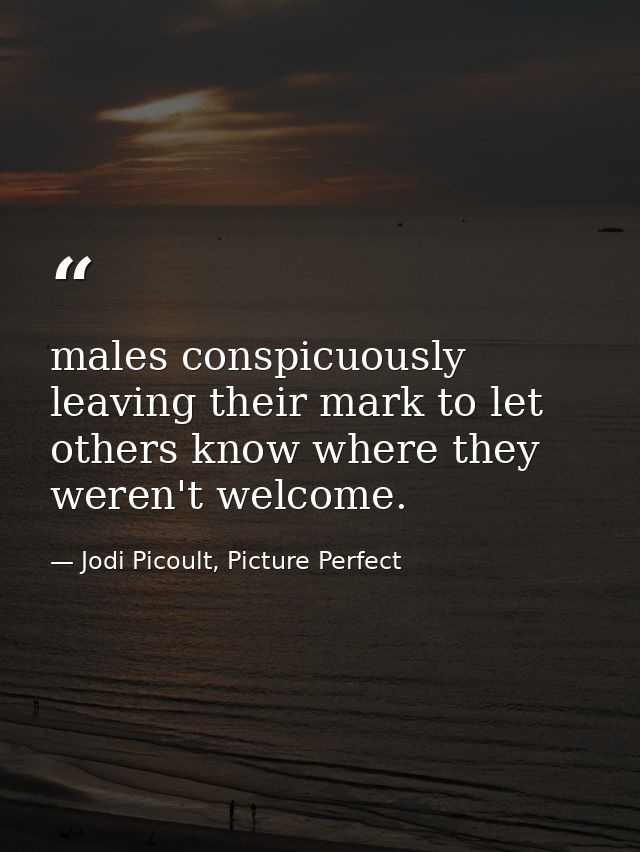 males conspicuously leaving their mark to let others know where they weren't welcome. — Jodi Picoult, Picture Perfect