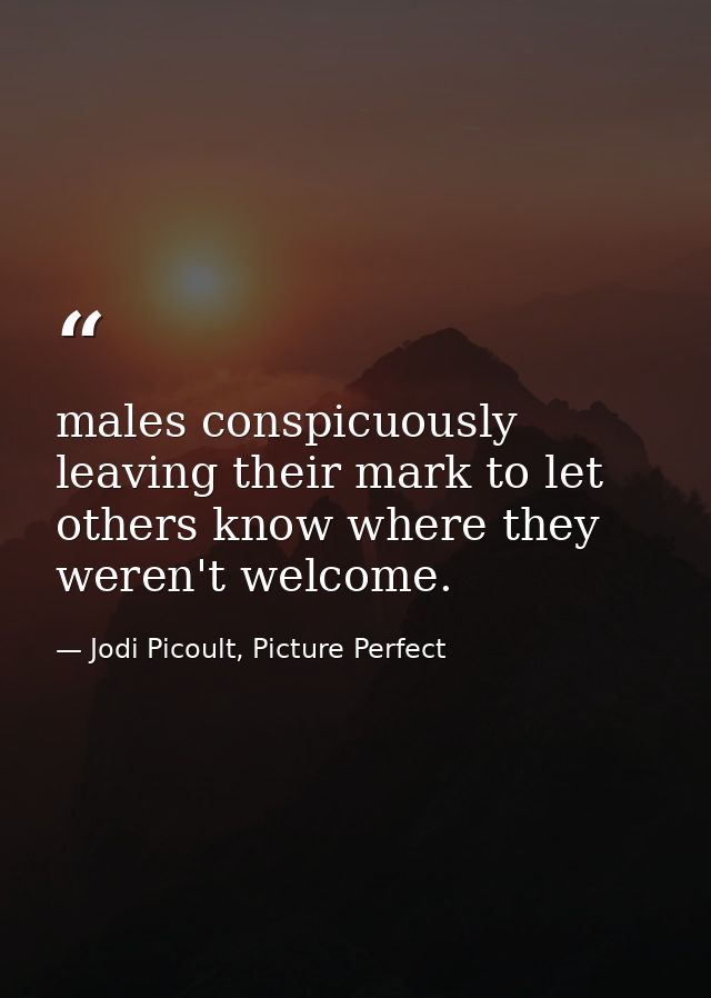 males conspicuously leaving their mark to let others know where they weren't welcome. — Jodi Picoult, Picture Perfect