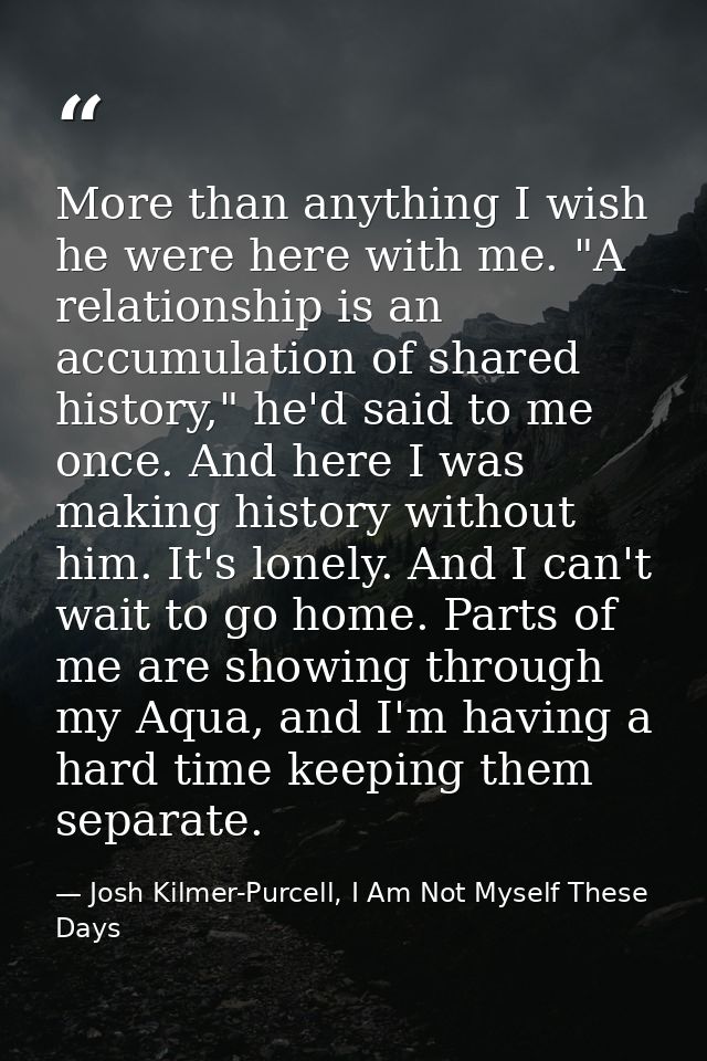 More than anything I wish he were here with me. "A relationship is an accumulation of shared history," he'd said to me o — Josh Kilmer-Purcell, I Am Not Myself These Days