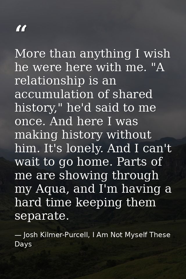 More than anything I wish he were here with me. "A relationship is an accumulation of shared history," he'd said to me o — Josh Kilmer-Purcell, I Am Not Myself These Days