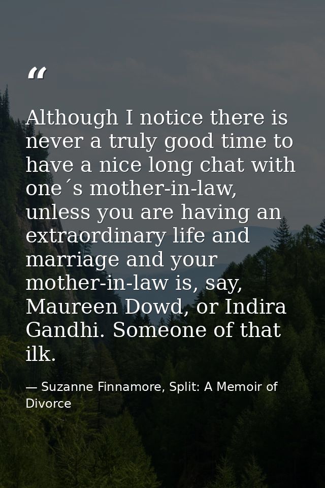 Although I notice there is never a truly good time to have a nice long chat with one´s mother-in-law, unless you are hav — Suzanne Finnamore, Split: A Memoir of Divorce