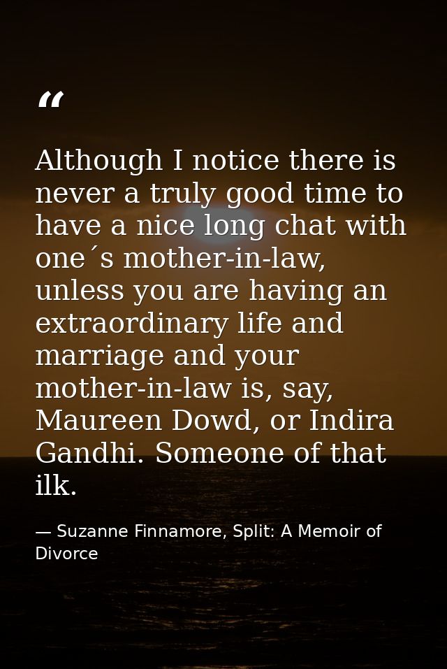 Although I notice there is never a truly good time to have a nice long chat with one´s mother-in-law, unless you are hav — Suzanne Finnamore, Split: A Memoir of Divorce