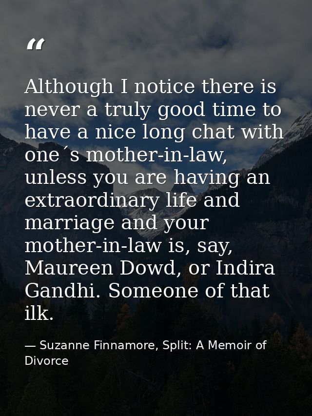 Although I notice there is never a truly good time to have a nice long chat with one´s mother-in-law, unless you are hav — Suzanne Finnamore, Split: A Memoir of Divorce