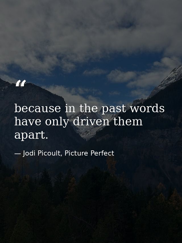 because in the past words have only driven them apart. — Jodi Picoult, Picture Perfect