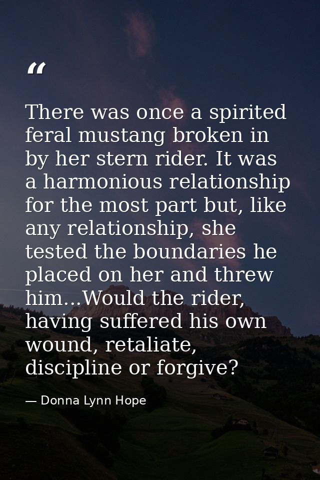 There was once a spirited feral mustang broken in by her stern rider. It was a harmonious relationship for the most part — Donna Lynn Hope