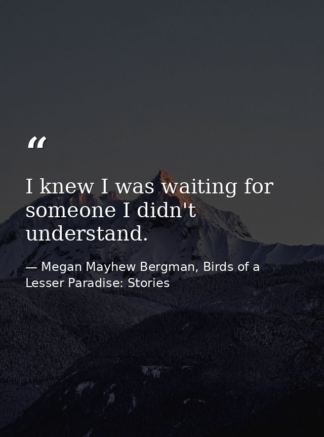 I knew I was waiting for someone I didn't understand. — Megan Mayhew Bergman, Birds of a Lesser Paradise: Stories