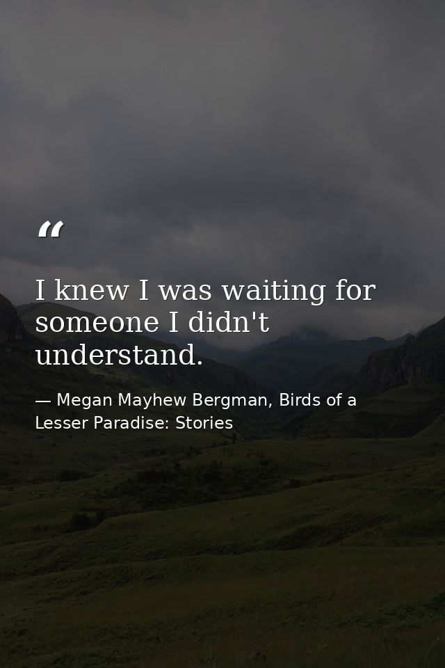I knew I was waiting for someone I didn't understand. — Megan Mayhew Bergman, Birds of a Lesser Paradise: Stories