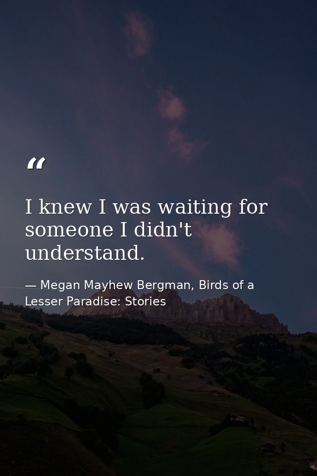 I knew I was waiting for someone I didn't understand. — Megan Mayhew Bergman, Birds of a Lesser Paradise: Stories