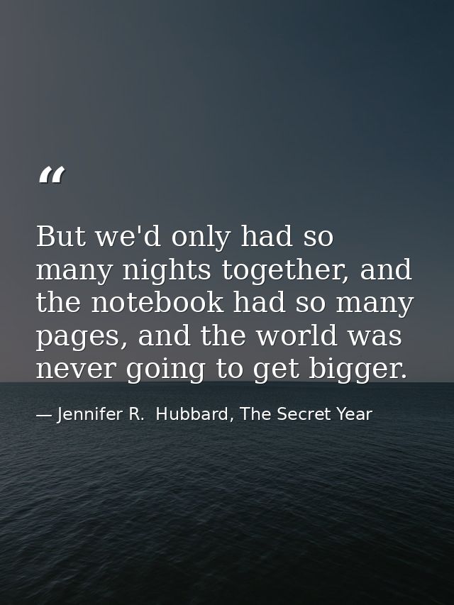 But we'd only had so many nights together, and the notebook had so many pages, and the world was never going to get bigg — Jennifer R.  Hubbard, The Secret Year