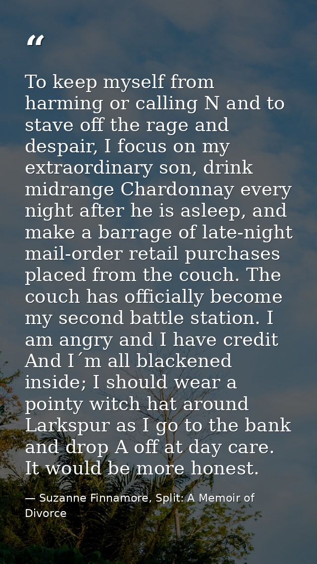 To keep myself from harming or calling N and to stave off the rage and despair, I focus on my extraordinary son, drink m — Suzanne Finnamore, Split: A Memoir of Divorce