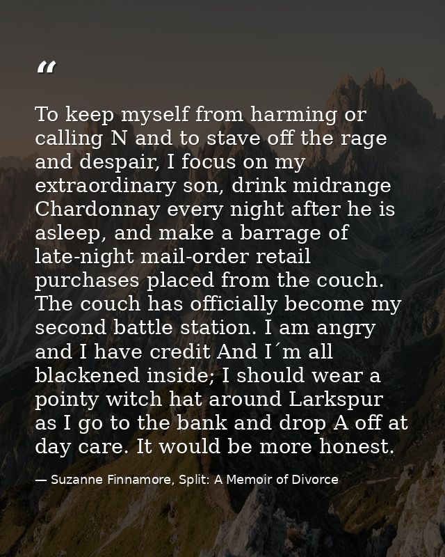 To keep myself from harming or calling N and to stave off the rage and despair, I focus on my extraordinary son, drink m — Suzanne Finnamore, Split: A Memoir of Divorce