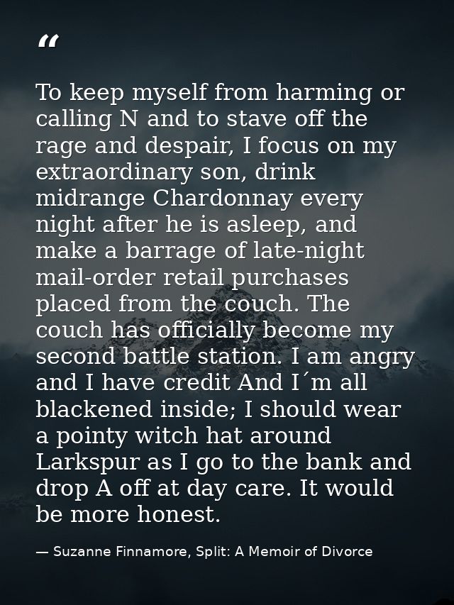 To keep myself from harming or calling N and to stave off the rage and despair, I focus on my extraordinary son, drink m — Suzanne Finnamore, Split: A Memoir of Divorce