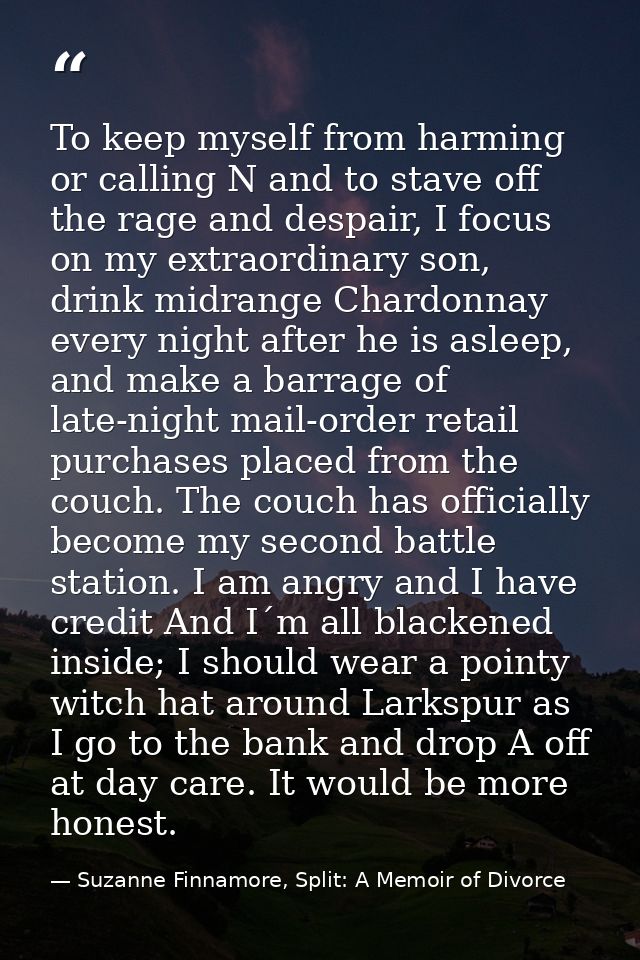To keep myself from harming or calling N and to stave off the rage and despair, I focus on my extraordinary son, drink m — Suzanne Finnamore, Split: A Memoir of Divorce
