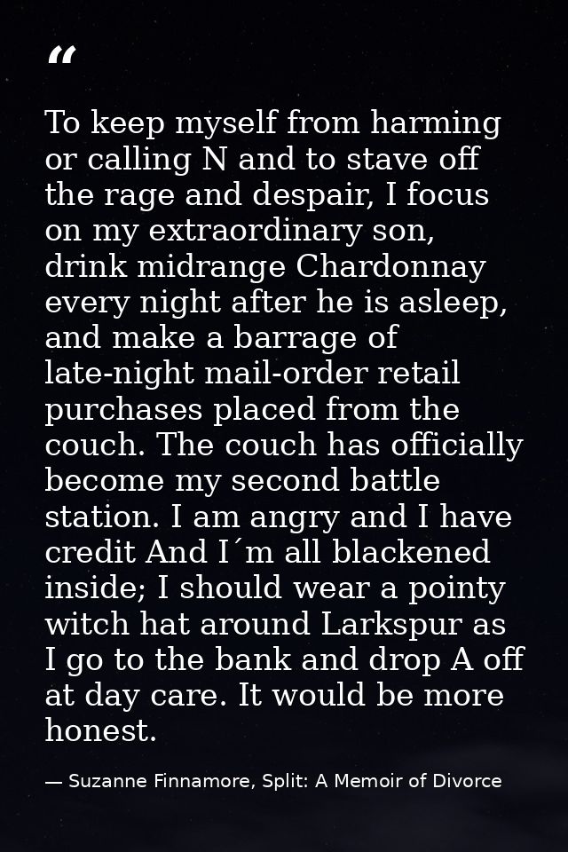 To keep myself from harming or calling N and to stave off the rage and despair, I focus on my extraordinary son, drink m — Suzanne Finnamore, Split: A Memoir of Divorce